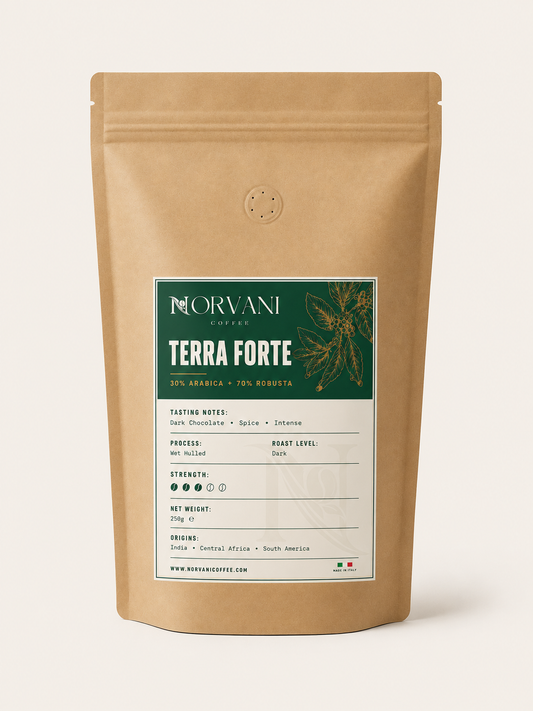 Norvani Coffee Terra Forte – Premium Italian Coffee Beans